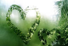 三亿体育体育官网app-阿贾克斯队在荷兰超级联赛中保持不败战绩